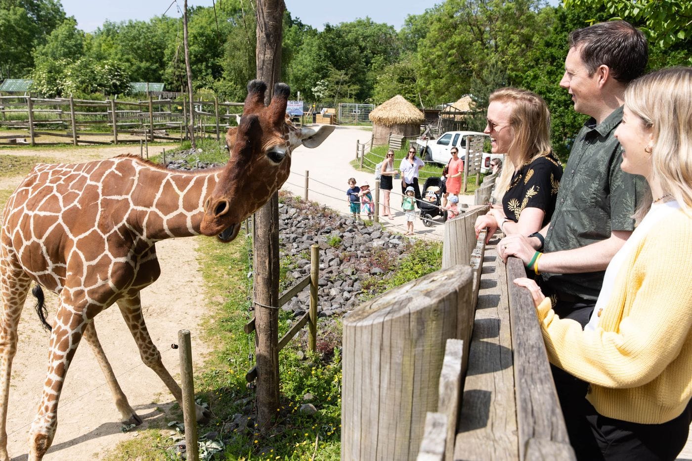 Three people stand smiling on a raised walkway as a giraffe stands next to them